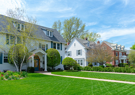 Pelouse verte à la maison