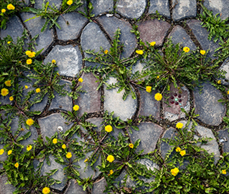 Lutte contre les fissures et les crevasses